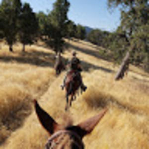 Meet your Posher, Cody